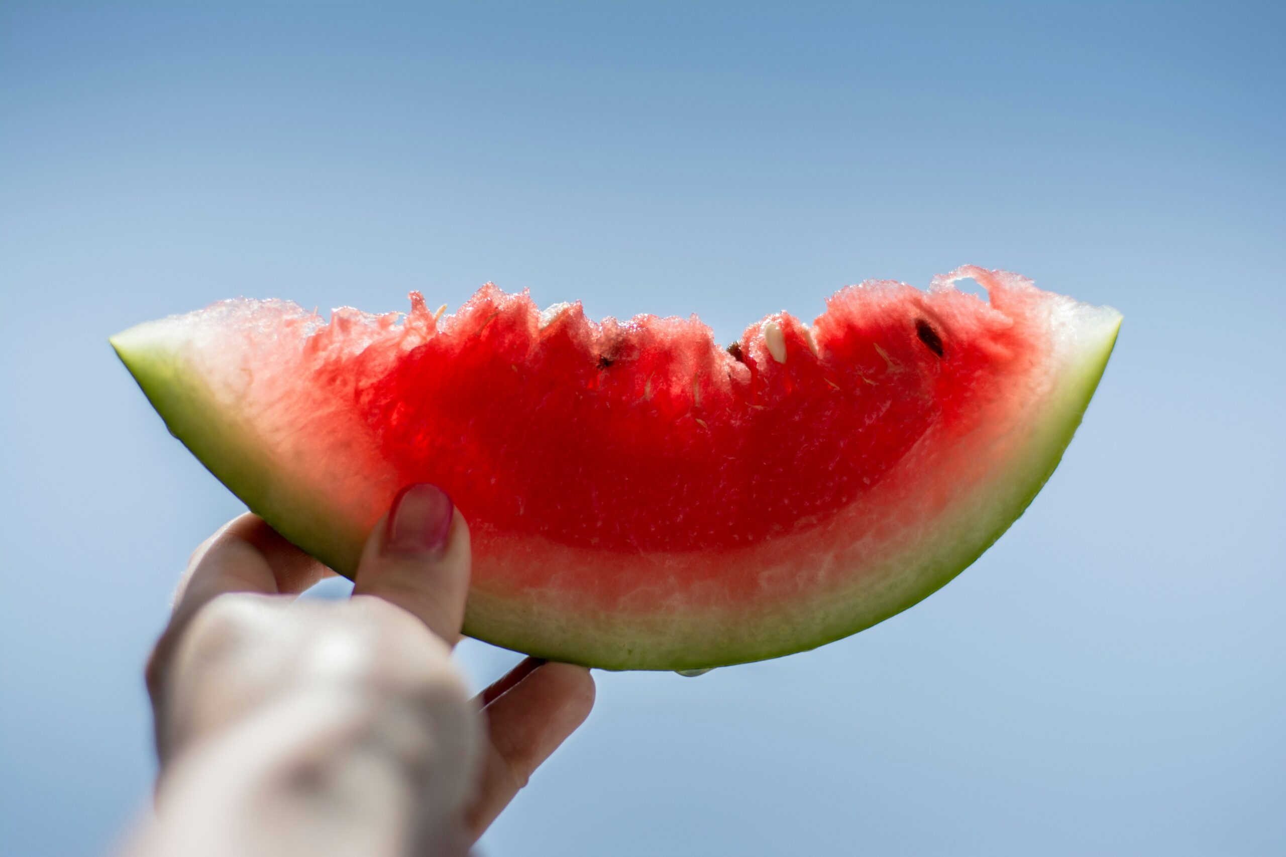 a big slice of watermelon | carlisledigitalmarketing.com